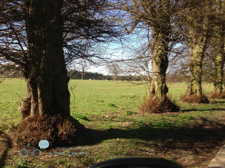 IMG_1592.jpg?type=w773