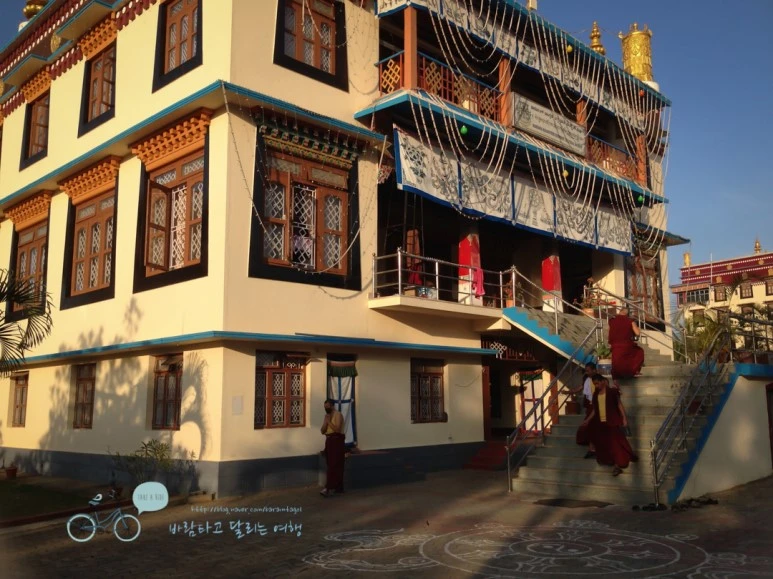 IMG_2802.jpg?type=w773