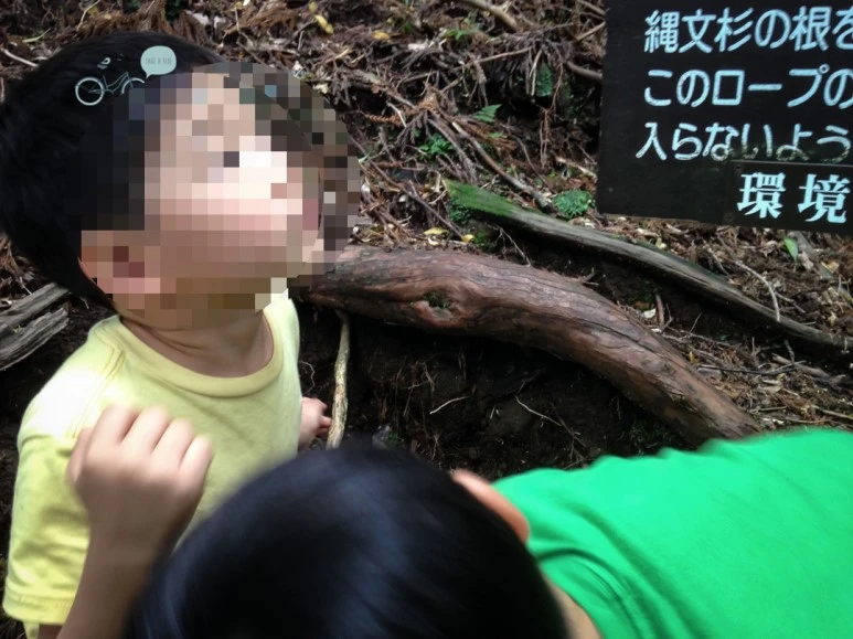 image_843092241486451450060.jpg?type=w773