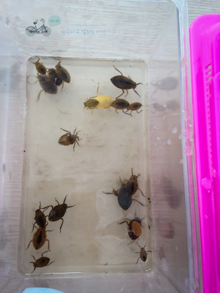 IMG_1034_wide1080mark.jpg?type=w773