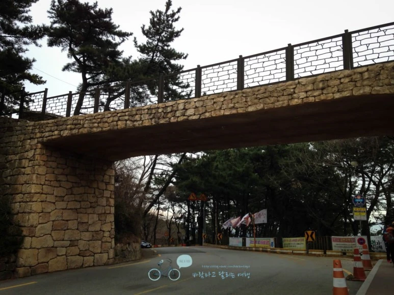 IMG_1320-_Wide1080mark%EB%B0%94%EB%9E%8C.jpg?type=w773