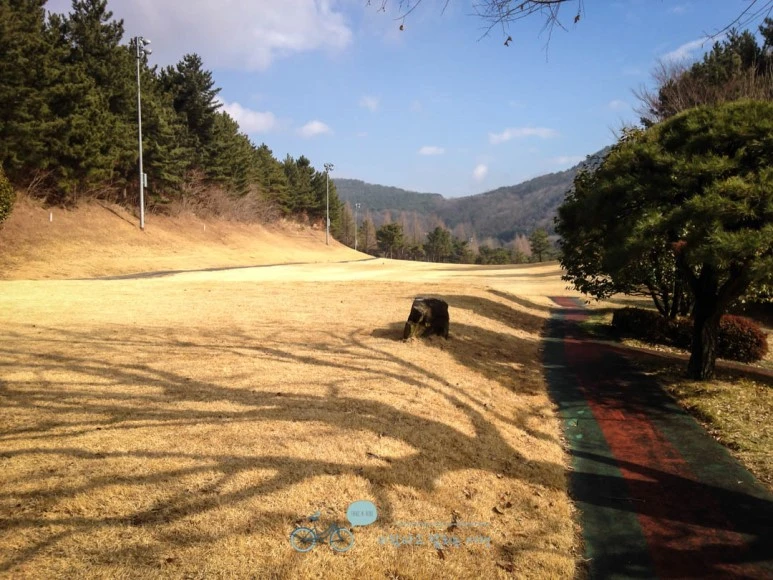 IMG_1628-_Wide1080mark.jpg?type=w773