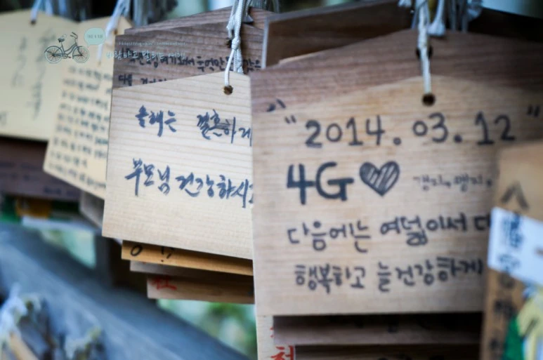 DSC07950_wide1080mark.jpg?type=w773