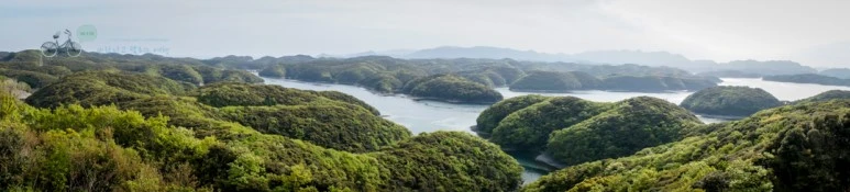 DSC07958_wide1080mark.jpg?type=w773