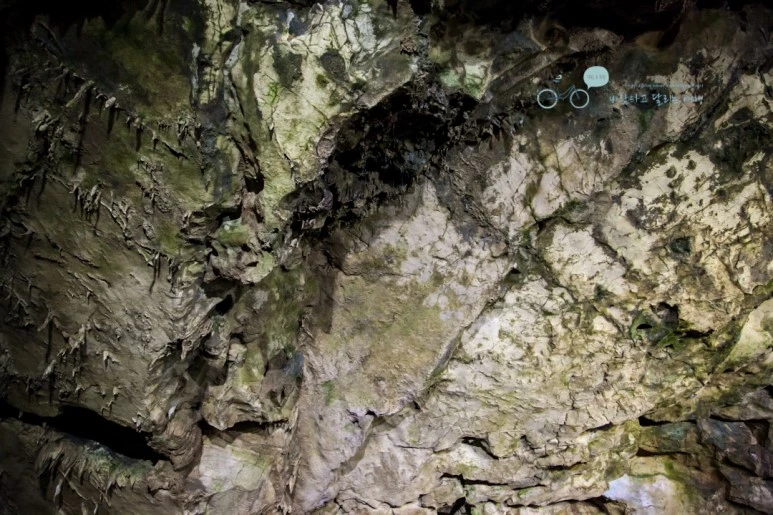 IMG_1130_Wide1080mark%EB%B0%94%EB%9E%8C.jpg?type=w773