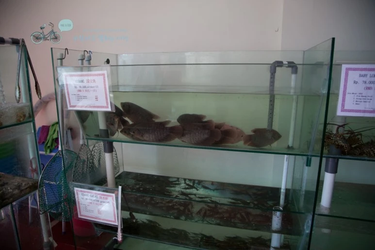 IMG_0358_Wide1080mark%EB%B0%94%EB%9E%8C%ED%83%80%EA%B3%A0.jpg?type=w773