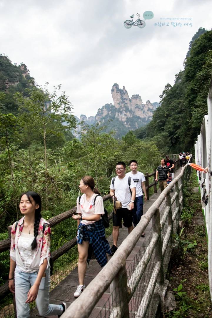 IMG_1084_Wide1080mark%EB%B0%94%EB%9E%8C.jpg?type=w773