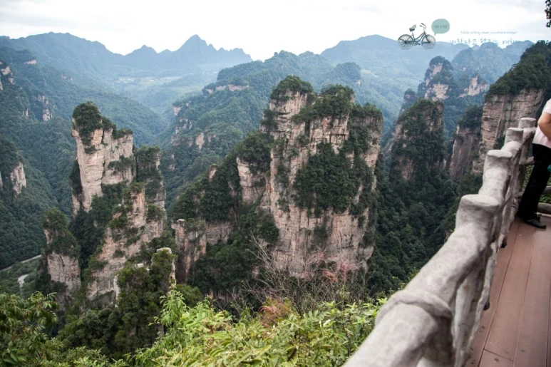 IMG_1332_Wide1080mark%EB%B0%94%EB%9E%8C.jpg?type=w773