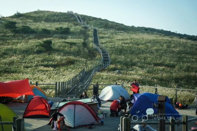 DSC04547_wide1080mark.jpg?type=w773