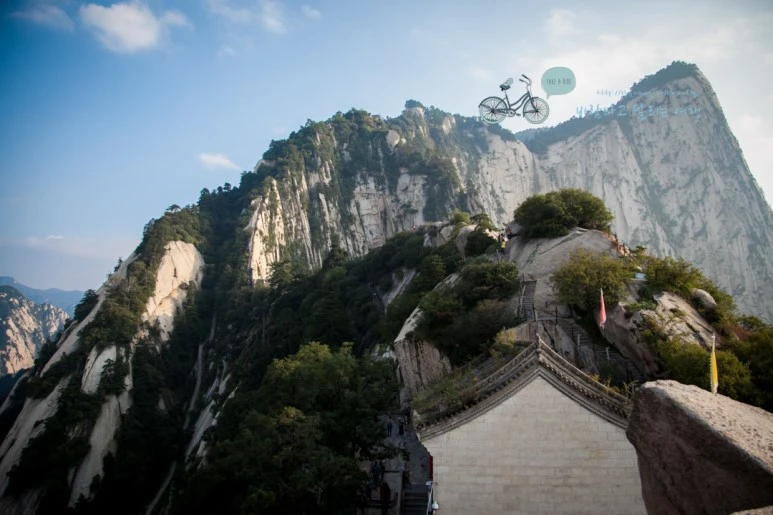 IMG_0436_Wide1080_mark%EB%B0%94%EB%9E%8C.jpg?type=w773