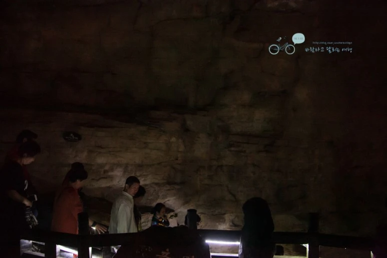 IMG_1257_Wide1080mark%EB%B0%94%EB%9E%8C.jpg?type=w773