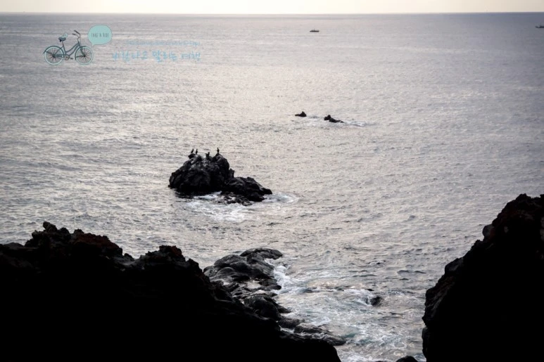 DSC00200_4.jpg?type=w773