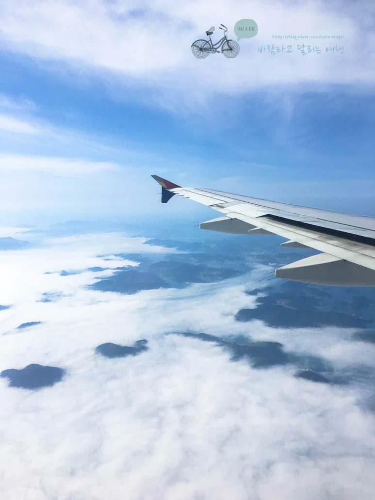 IMG_2353_wide1080%EB%B0%94%EB%9E%8Cmark.jpg?type=w773