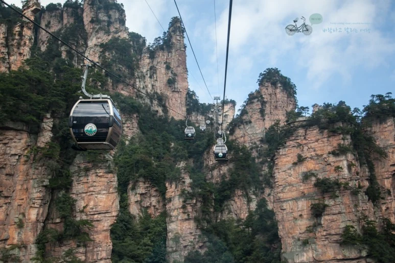 IMG_1146_Wide1080mark%EB%B0%94%EB%9E%8C.jpg?type=w773