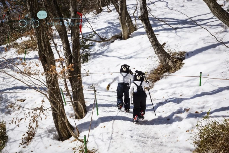 DSC00055_3.jpg?type=w773