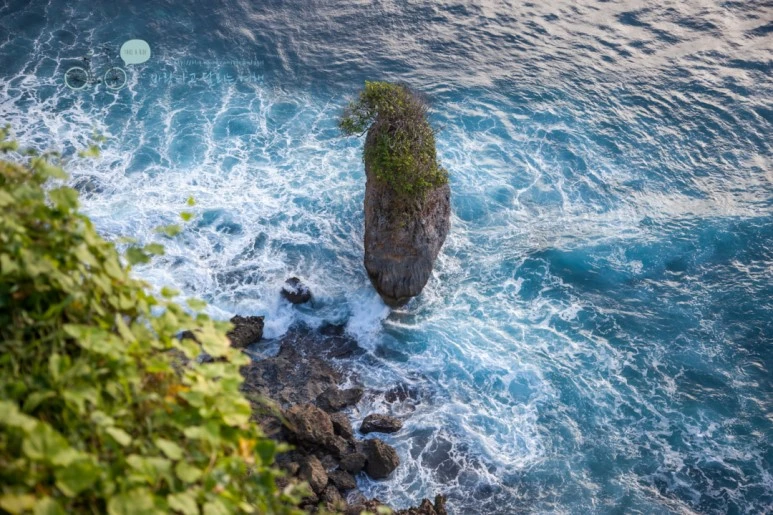 IMG_0603_Wide1080mark%EB%B0%94%EB%9E%8C%ED%83%80%EA%B3%A0-2.jpg?type=w773