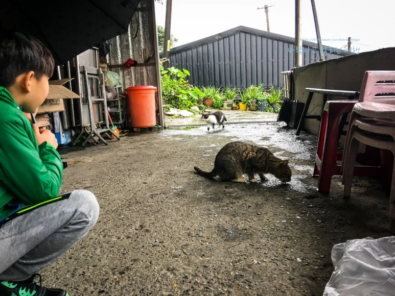 iPhone_IMG_3803_Short1200mark%EB%B0%94%EB%9E%8C.jpg?type=w773