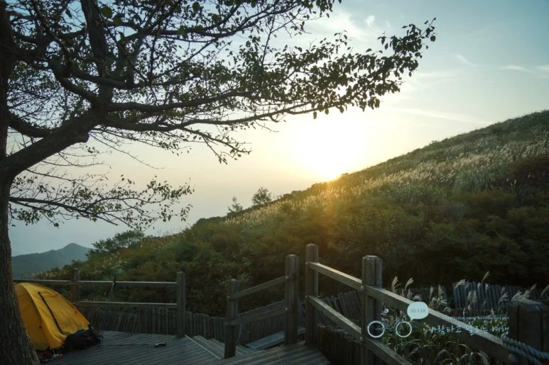 DSC04508_wide1080mark.jpg?type=w773