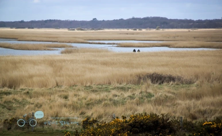 IMG_3341.jpg?type=w773