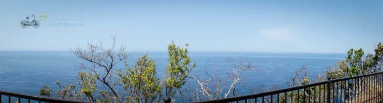 DSC08002_wide1080mark.jpg?type=w773