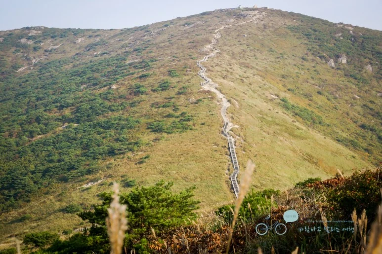 DSC04608_wide1080mark.jpg?type=w773