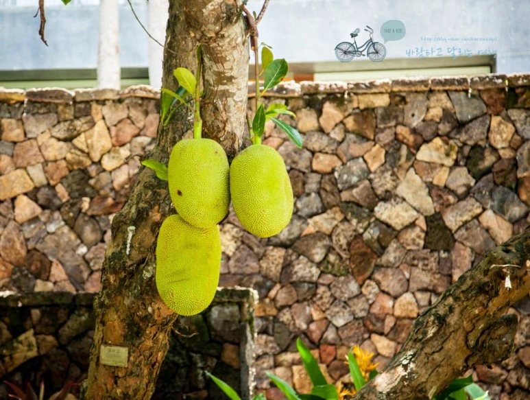 IMG_0406_wide1080%EB%B0%94%EB%9E%8Cmark.jpg?type=w773