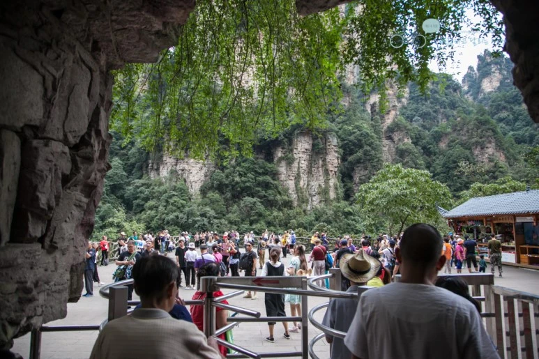 IMG_1354_Wide1080mark%EB%B0%94%EB%9E%8C.jpg?type=w773