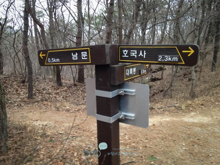 IMG_1319-_Wide1080mark%EB%B0%94%EB%9E%8C.jpg?type=w773