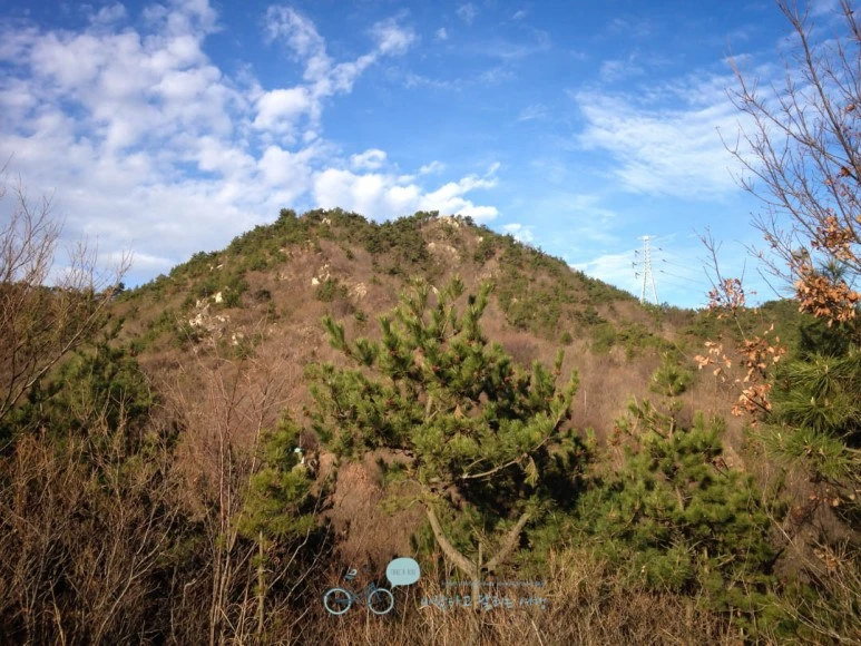 IMG_1270-_Wide1080mark%EB%B0%94%EB%9E%8C.jpg?type=w773