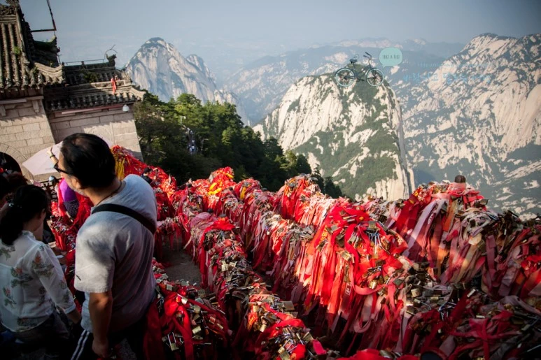 IMG_0324_Wide1080_mark%EB%B0%94%EB%9E%8C.jpg?type=w773