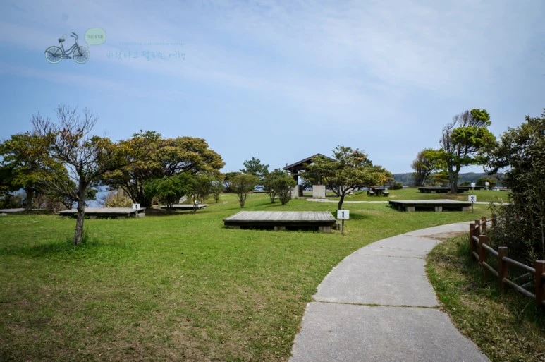 DSC08028_wide1080mark.jpg?type=w773