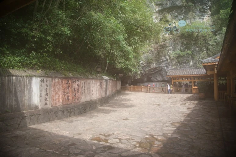 IMG_1263_Wide1080mark%EB%B0%94%EB%9E%8C.jpg?type=w773