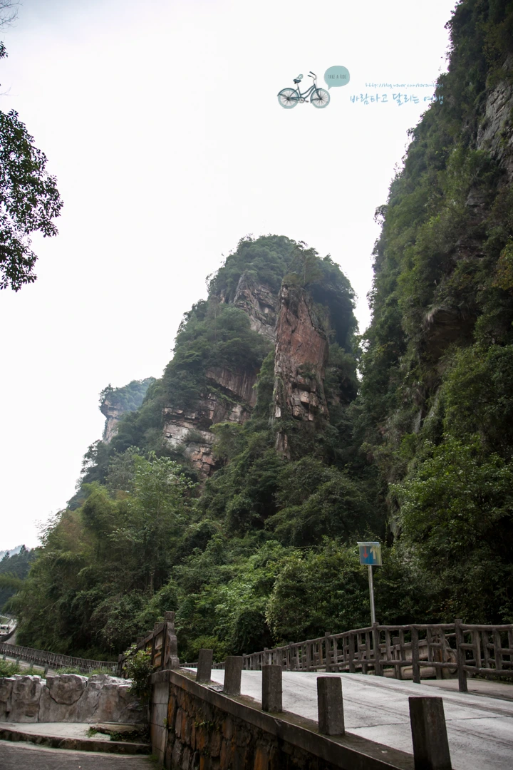 IMG_1436_Wide1080mark%EB%B0%94%EB%9E%8C.jpg?type=w773