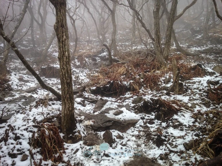 IMG_1901-_Wide1080mark.jpg?type=w773