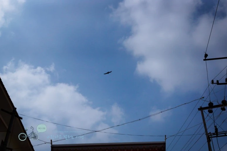 DSC00320.jpg?type=w773