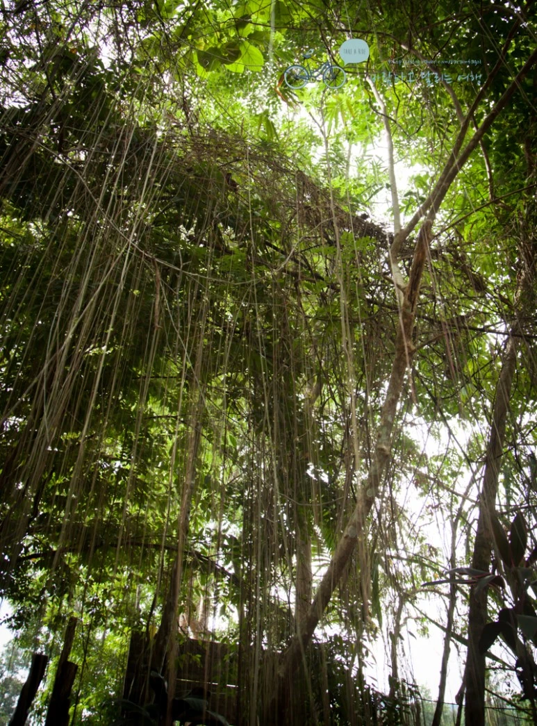 IMG_0583_Wide1080mark%EB%B0%94%EB%9E%8C%ED%83%80%EA%B3%A0.jpg?type=w773