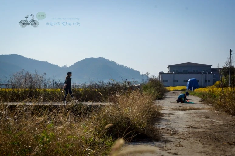 DSC05755_wide1080mark.jpg?type=w773