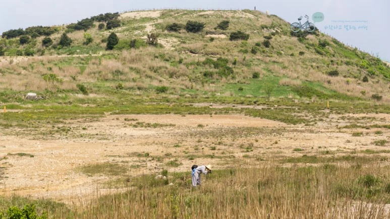 DSC05582_Wide1080mark%EB%B0%94%EB%9E%8C.jpg?type=w773