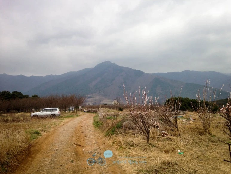 IMG_1884-_Wide1080mark.jpg?type=w773