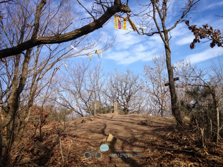 IMG_1451-_Wide1080mark.jpg?type=w773