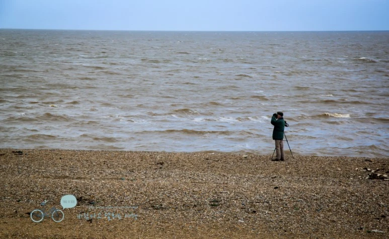 IMG_3343.jpg?type=w773