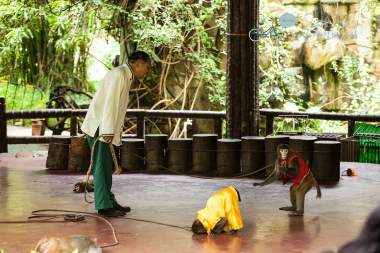 IMG_1435_wide1080%EB%B0%94%EB%9E%8Cmark.jpg?type=w773