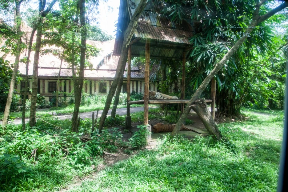 5D_IMG_2696_Short1200mark%EB%B0%94%EB%9E%8C.jpg?type=w1