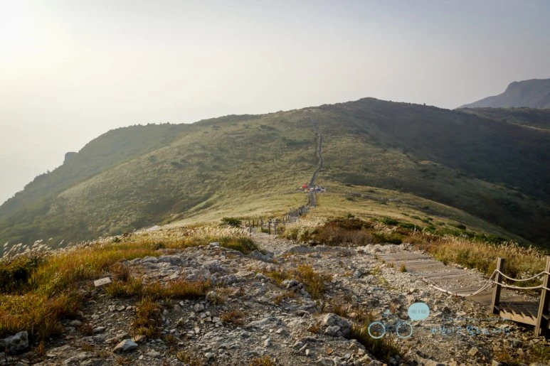 DSC04563_wide1080mark.jpg?type=w773