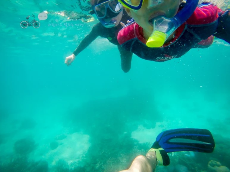 GOPR0110_Wide1080mark%EB%B0%94%EB%9E%8C%ED%83%80%EA%B3%A0.jpg?type=w773