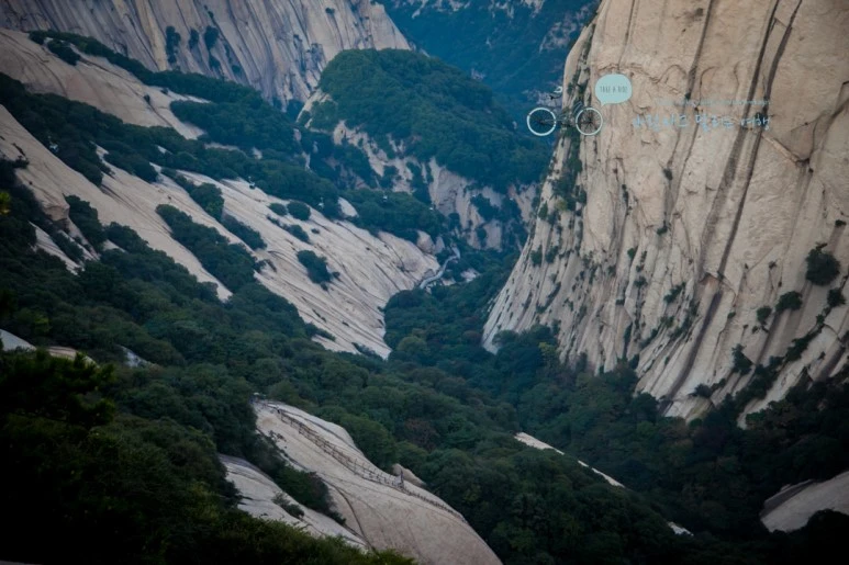 IMG_0440_Wide1080_mark%EB%B0%94%EB%9E%8C.jpg?type=w773