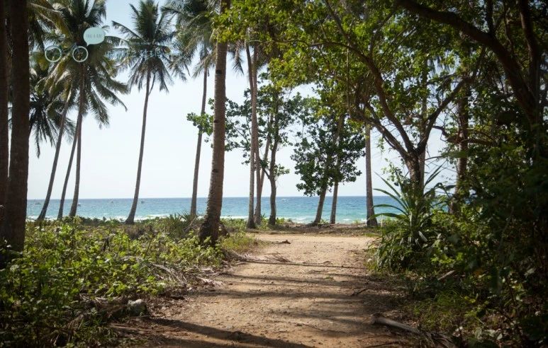 IMG_2233_Wide1080mark%EB%B0%94%EB%9E%8C%ED%83%80%EA%B3%A0.jpg?type=w773