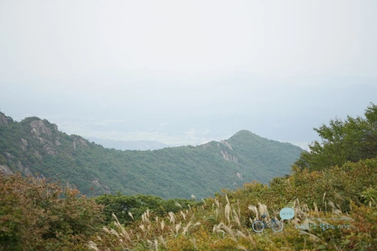 DSC00017_Wide1080mark.jpg?type=w773