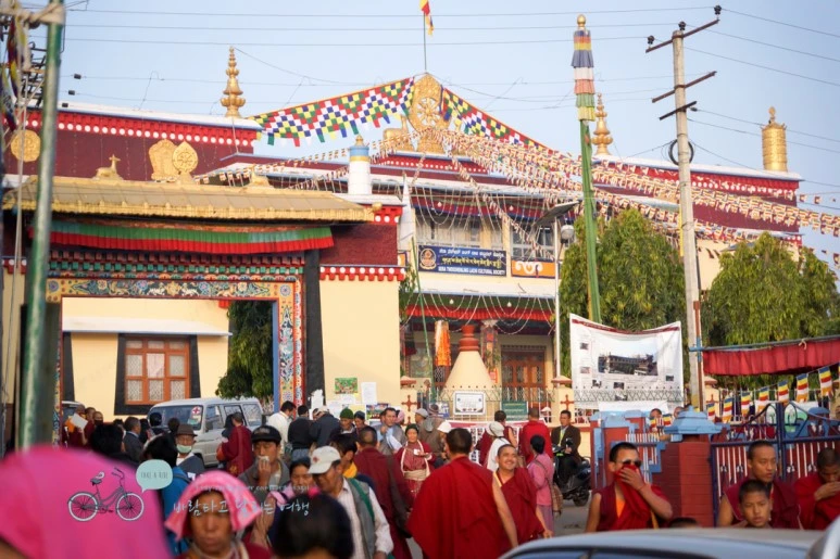 DSC00032.jpg?type=w773