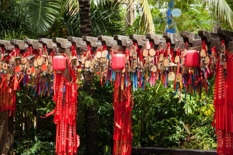 IMG_0495_wide1080%EB%B0%94%EB%9E%8Cmark.jpg?type=w773